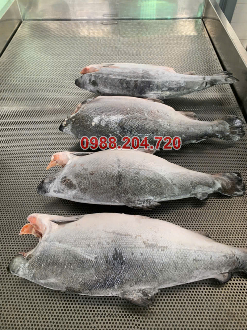 Chà bông cá hồi Anfafoco (Bán theo kg)