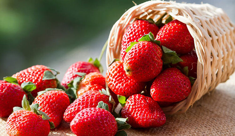 The Sweet Powerhouse: Exploring the Remarkable Benefits of Strawberries