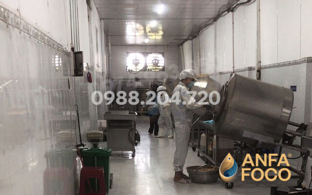 Tham quan công ty sản xuất chà bông Anfafoco có gì?