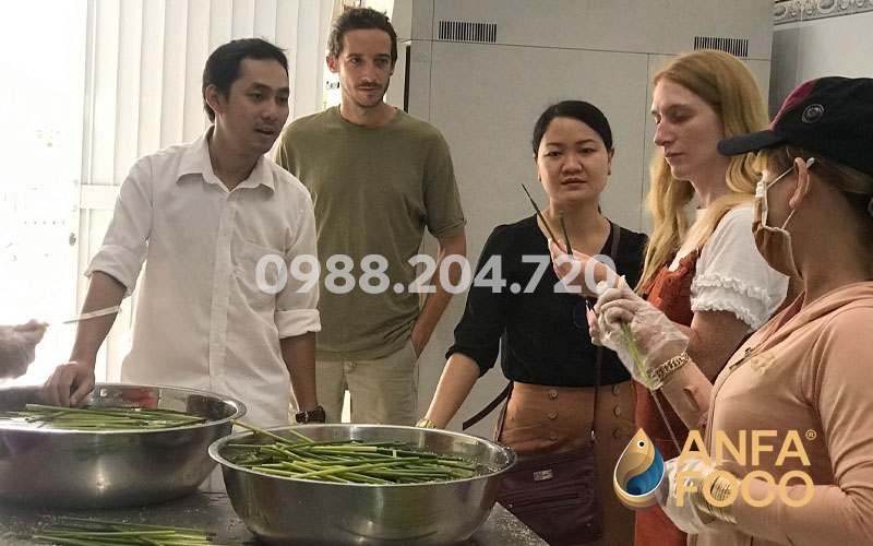 Công ty Anfafoco chuyên cung cấp ống hút cỏ xuất khẩu với số lượng lớn